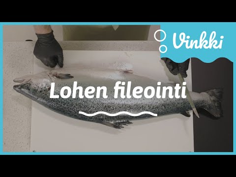 Lohen fileointi | Kalan käsittely