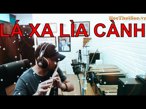 LÁ XA LÌA CÀNH - LÊ BẢO BÌNH | Cover Sáo Trúc TikTok Gây Nghiện 2019