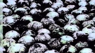 Death...Is Just The Beginning Vol1 1992