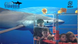 DIA 3 Expo Tiburon103