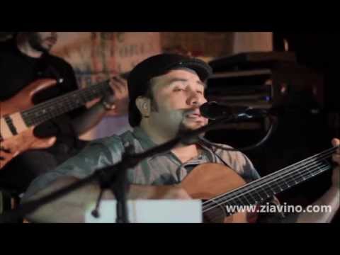 Procuro Olvidarte - Willie Ziavino & C.O.T. Band