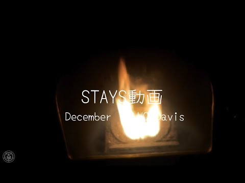 児童教育学科 20240201【英語英米文学科】STAYS-08(UCD)