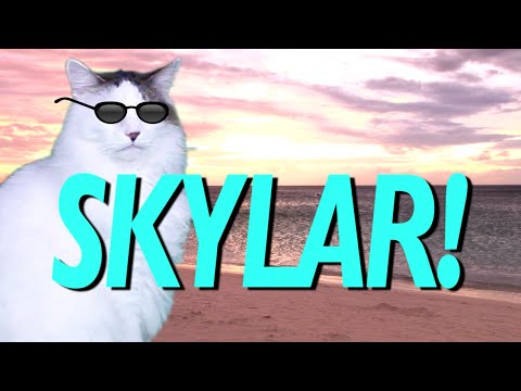 HAPPY BIRTHDAY SKYLAR! - EPIC CAT Happy Birthday Song