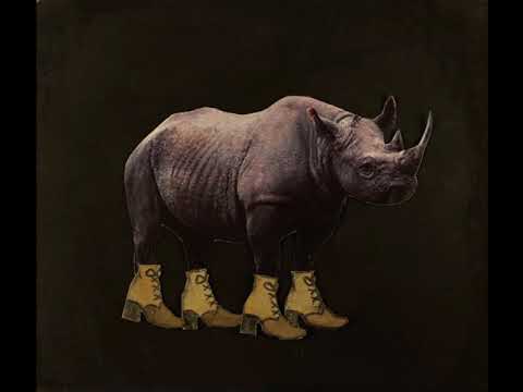 Hvad er Biodiversitet? Animationsfilm