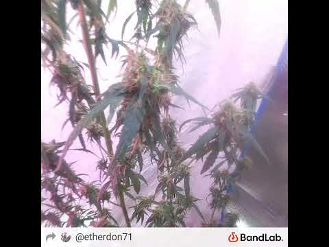 Stop - Tyga Type Beat - 102BPM by Don Larocque - D1G$