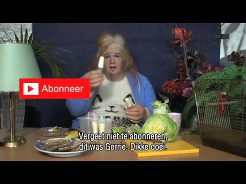 DINO. 2016 - Gerrie Vlog - Gezond Vreten