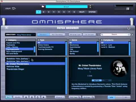 PROJECT PRESET - Omnisphere Bob Moog Tribute - Psychoacoustic