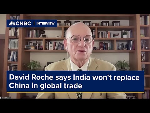 David Roche says India won't replace China in global trade