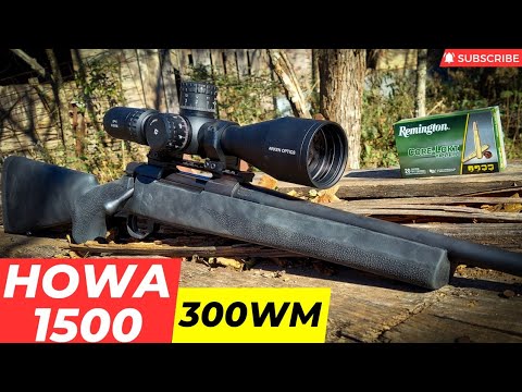 Howa 1500 in 300 Win Mag [Incredible Groups]