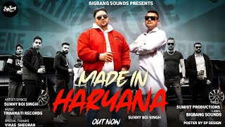 Made In Haryana song artwork
