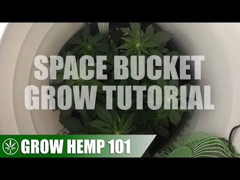 Building a Space Bucket & Indoor Grow Tutorial