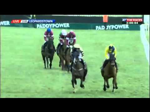 Don Poli - Lexus Chase (Grade 1) - 2015