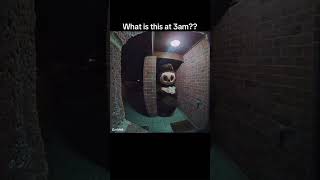 Download lagu Chat should i open the door… #labubu #trending #explore #scary #creepy #horror mp3