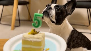 あれから５年が経ちました。
