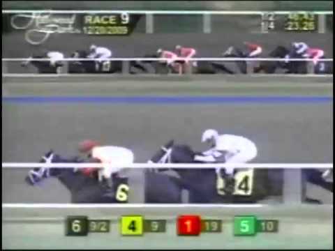 2009 Starlet Stakes   BLIND LUCK