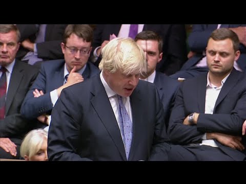 Boris Johnson resigns: "It is not too late to save Brexit!"