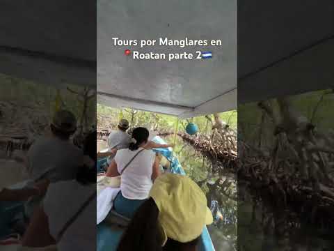 Roatan, Islas de la bahía Honduras 🇭🇳 tours por manglares