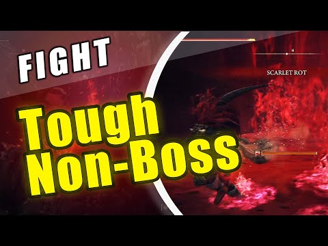 Elden Ring Lake of Rod Ulcerated Tree Spirit - Hardest Non-Boss Fight