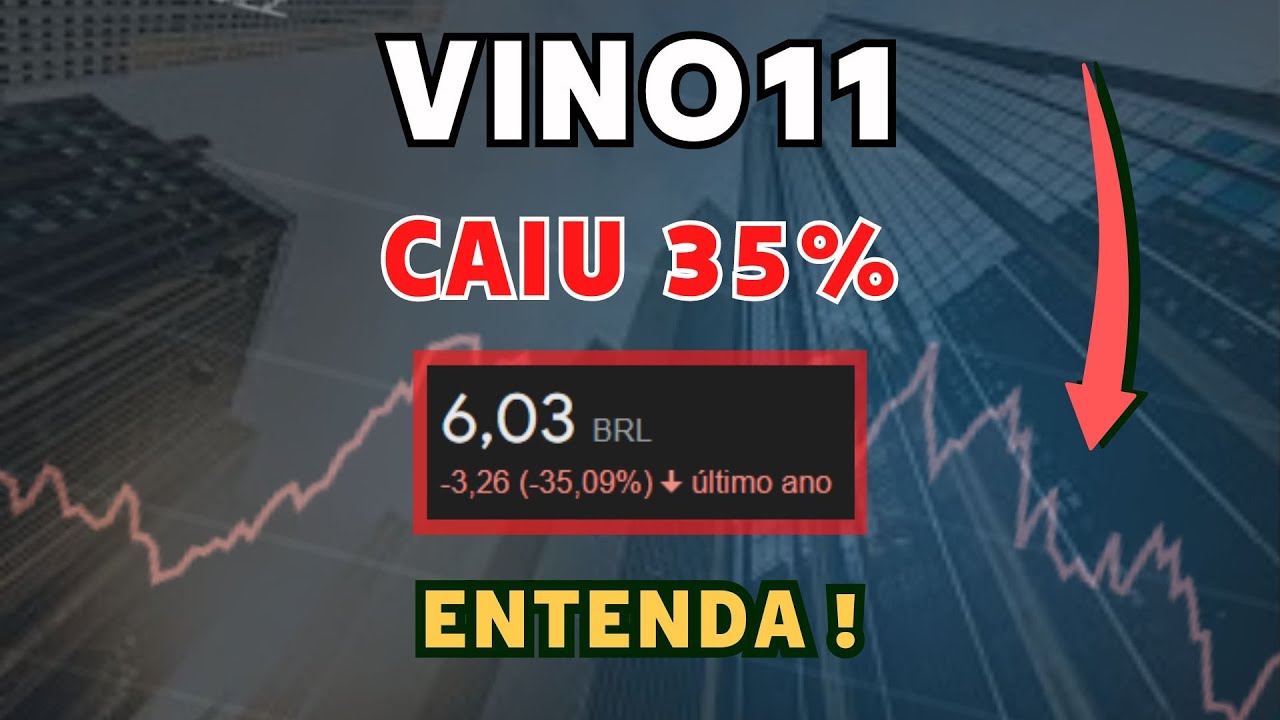 VINO11 o que aconteceu ? vale a pena para 2024 ? vai para de pagar dividendos ?