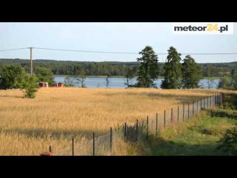 Noclegi Jastrzębiówka - Gostynin meteor24.pl