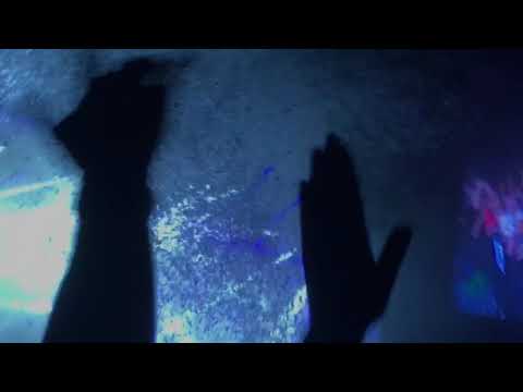 Martin Jensen @ Smukfest 2018 (Live)