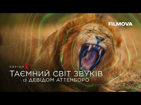 Трейлер серіалу «Таємний світ звуків з Дейвідом Аттенборо»