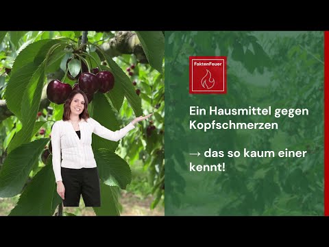 Kopfschmerz ade | Nachgewiesenes Hausmittel gegen Kopfschmerzen → 2024 kein Kopfweh mehr