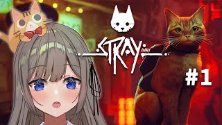 【Stray】#01 迷子の猫になる【高倉むき】