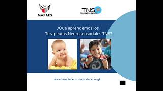 introduccion TNS