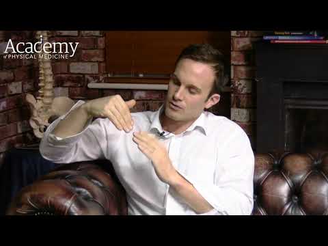 How tendons attach to muscle and bone | Osteopathic and Chiropractic CPD