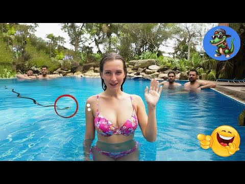 VERSUCHE NICHT ZU LACHEN !!! 🤣🤣🤣 #94