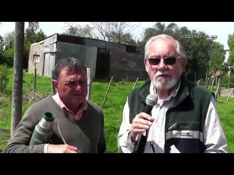 100 Años de Pueblo Colón - 02 👍