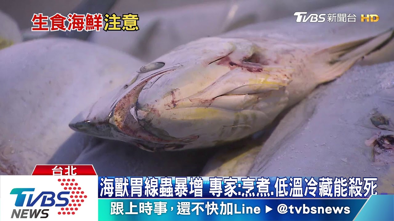 「海獸胃線蟲」40年暴增283倍　專家：不需過度擔心