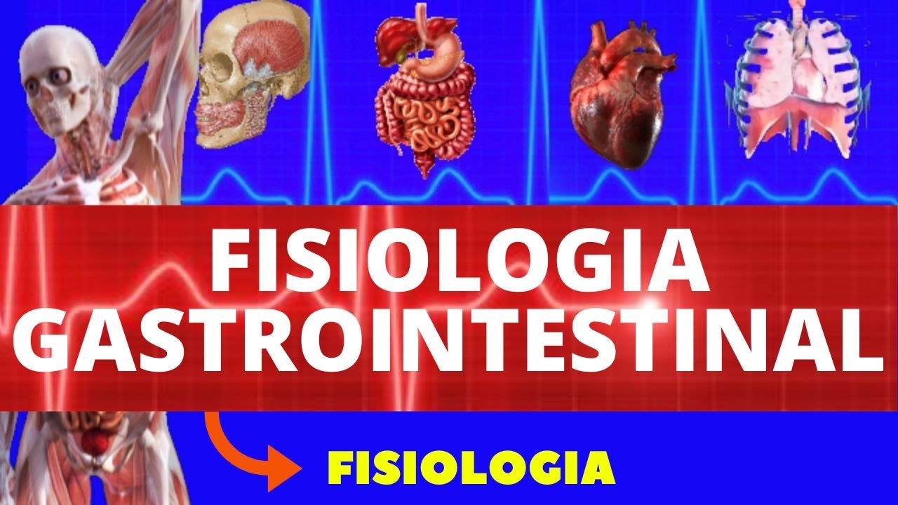 FISIOLOGIA GASTROINTESTINAL INTRODUÇÃO - FISIOLOGIA DE GUYTON  (FISIOLOGIA HUMANA)