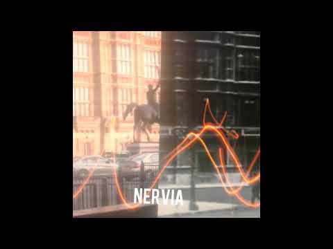 NERVIa-Fuzar