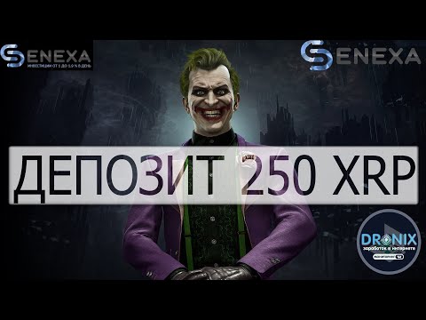 SENEXA ДОСТОЙНЫЙ ЗАРАБОТОК НА ВЫГОДНЫХ УСЛОВИЯХ