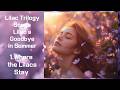 Lilac Trilogy Songs : Lilac's Goodbye in Summer 🌿1. Where the Lilacs Stay