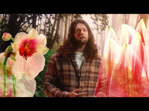 HOUNDS - Three Hits of Acid (Official Music Video)