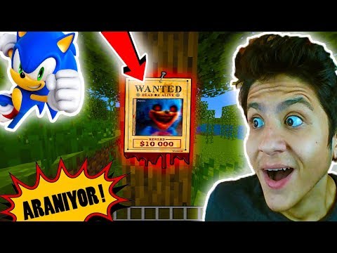 GECE 3'te MİNECRAFT SONİC ARANIYOR ! (Yardım Edin)
