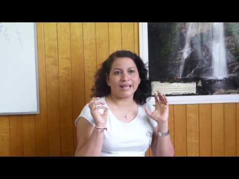 La importancia de los bosques amazónicos en Iquitos y Loreto. Entrevista a Dennis del Castillo, director del Programa Bosques y Servicios Ambientales del IIAP. Enero 2017.