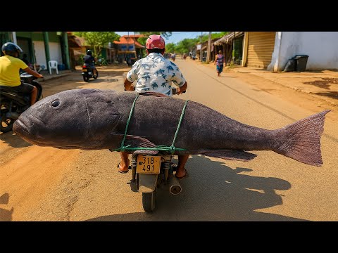 Rural Village Worth Fish Market Scene Masterful Cutting Action