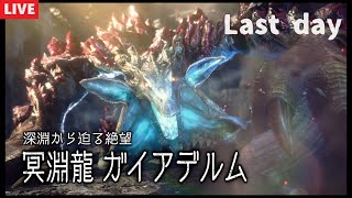 初見モンハンを堪能する男 最終日 ガイアデルム編　 【モンスターハンターサンブレイク初見プレイ】