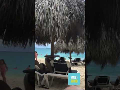 Amazing Beach |  Punta Cana 🏖 #beach #shorts