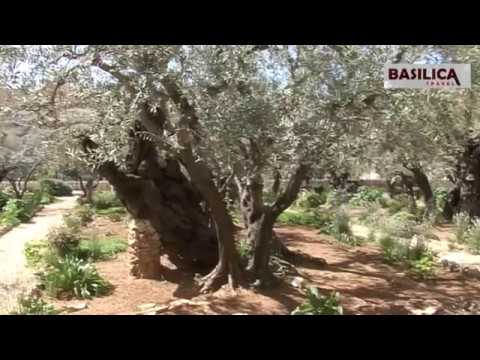 La pas în pelerinaj - Grădina Ghetsimani