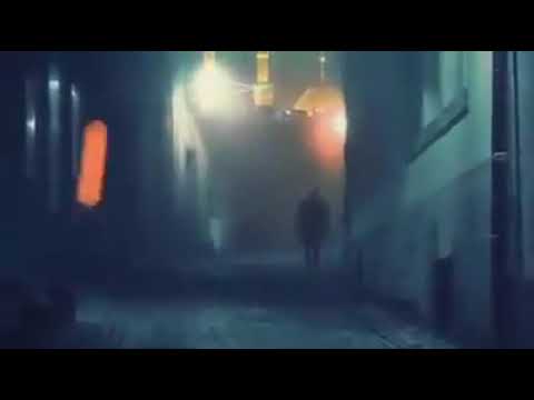 حسين المنشد الإيراني علي فاني