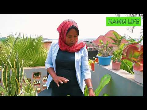 MAUA YANAYOTAKIWA/YANAYO STAHILI KUWEKWA NDANI YA NYUMBA YAKO.