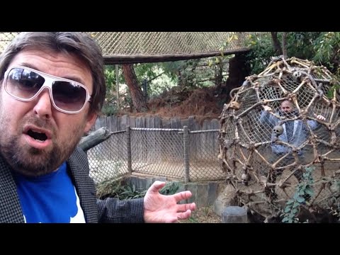 TDW 1282 - Goodbye (For Now) Tom Sawyer Island