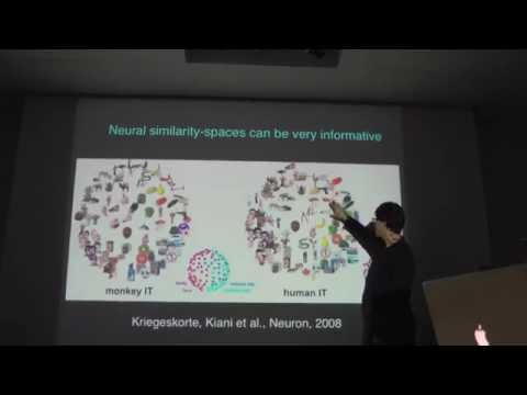 Intro. to fMRI - Wk7, Class1, Pt.2: Searchlight Analysis & Neural Similarity