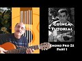 Guinga Chord Magic - Guinga Tutorial #1 - Choro Pro Zé - Part 1 of 2 (Verse)