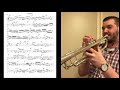Ferrara Napoli Transcription